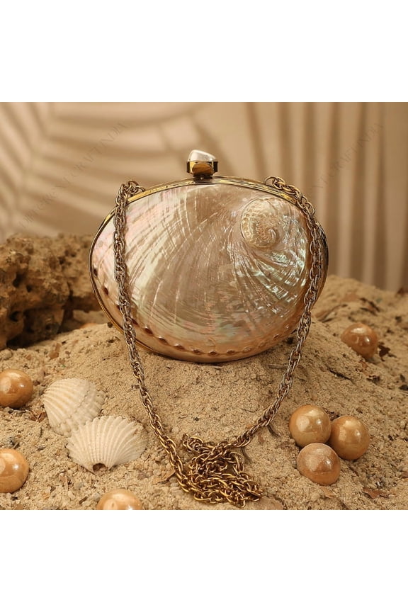 Mini Pink Abalone Seashell Purse with Shell-Pearl Top
