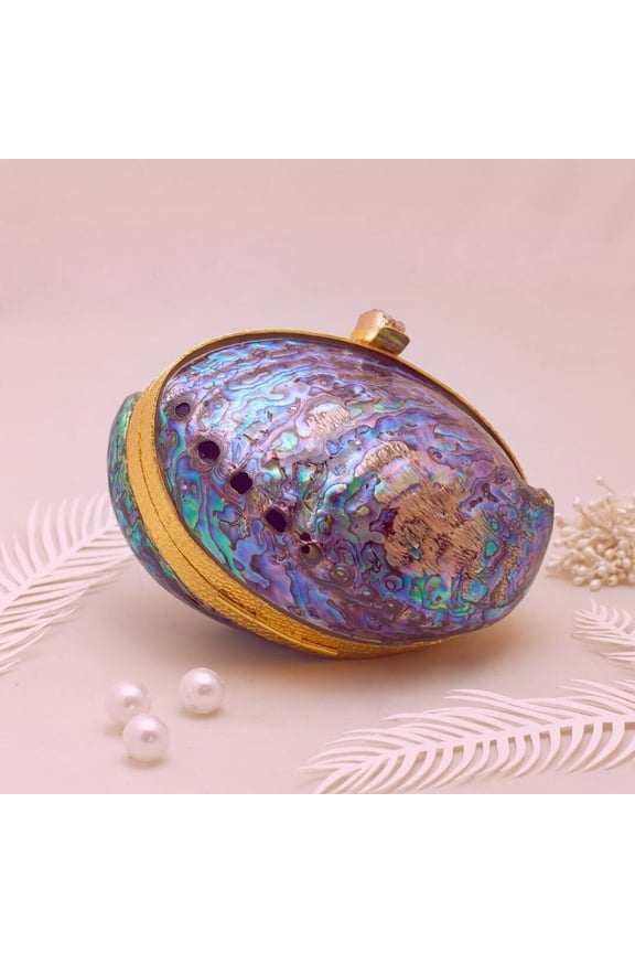 Natural Mermaid's Gilded 100% Genuine Abalone Shell Purse