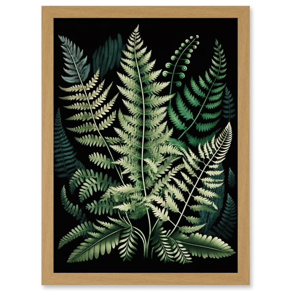 Different Fern Fronds Detailed Leaves Illustration Artwork Framed Wall Art Print A4