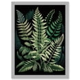 thumbnail image 1 of Different Fern Fronds Detailed Leaves Illustration Artwork Framed Wall Art Print A4, 1 of 4