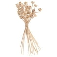 thumbnail image 1 of Diffuser Sticks Reed Fragrance Natural Essential Oil Rattan Wood Flower Replacement Aroma Branch Rod, 1 of 6