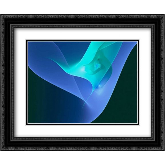 Diffusion 2x Matted 24x20 Black Ornate Framed Art Print by Hausenflock, Alan