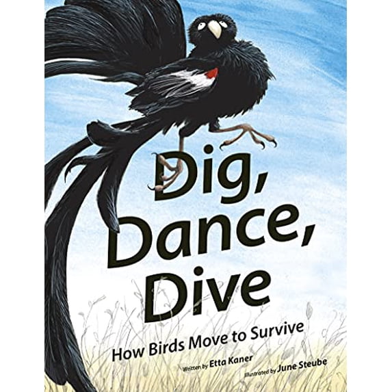 Pre-Owned Dig, Dance, Dive: How Birds Move to Survive (Hardcover) 1771474394 9781771474399