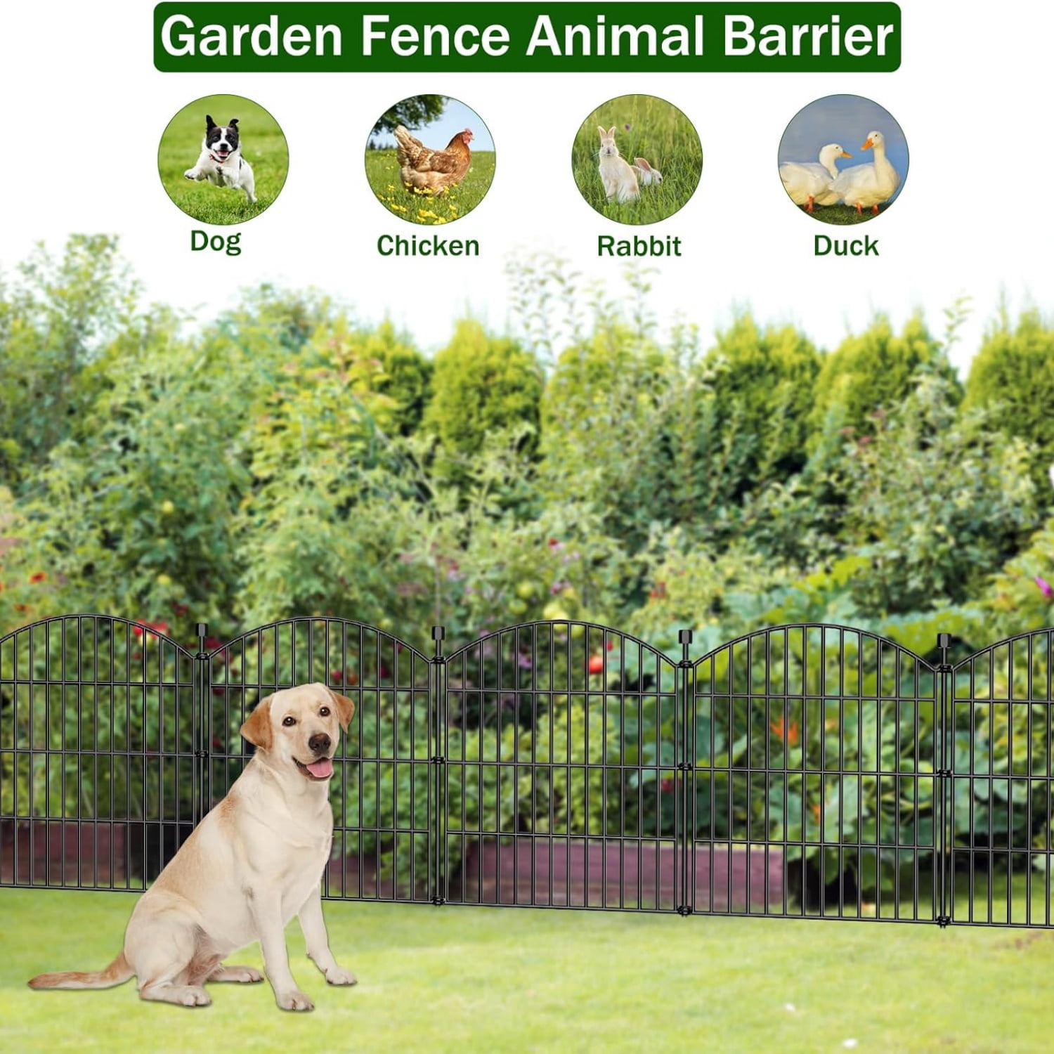 No Dig Decorative Garden Fence Animal Barrier - 5 Panels - 24 in (H) x 10 ft (L) - Dog Fence Outdoor for Yard, Rabbits and Small Pets - Tall Metal Wire Fencing Border for Garden and Patio