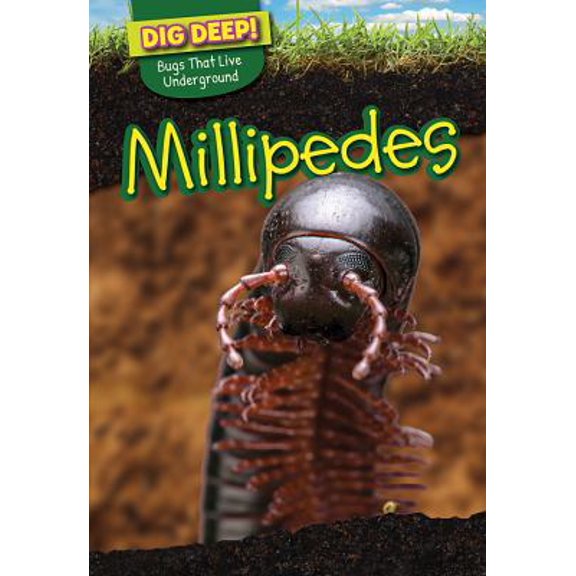Pre-Owned Millipedes (Paperback) 1499420587 9781499420586