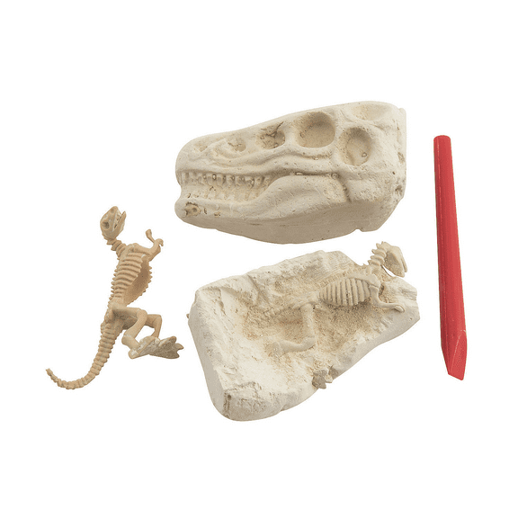 Dig & Discover Excavation Dinosaur Heads, Toys, Party Supplies, 12 Pieces