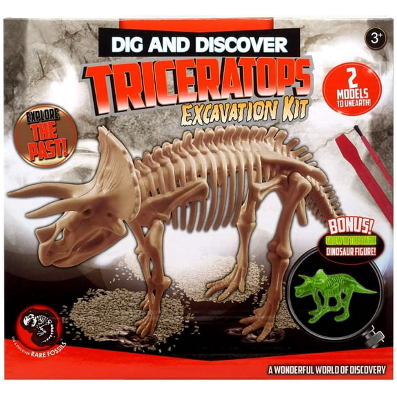 Dig & Discover Triceratops Escavation Kit