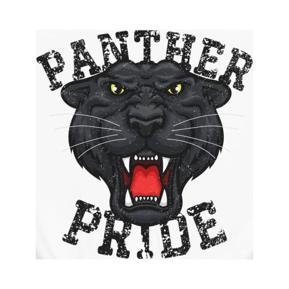 Vintage Panther Mascot Sweatshirt, Panther School Spirit Football Shirt White Small