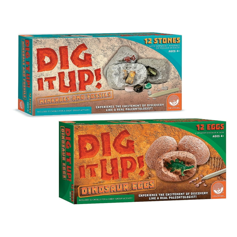 MindWare Dig It Up! Dinosaur Eggs and Mineral Stones Set of Dig