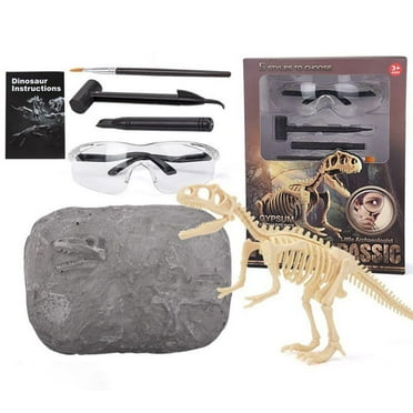 Kit De Excavación De Dinosaurio Para Niños - Incluye Fósil De T-Rex Para Desenterrar Y Montar, Juguete Educativo (6 A 12 Años)