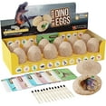 thumbnail image 1 of 12 x Unique Surprise Dino Eggs, Archaeology Science STEM Crafts, 1 of 7