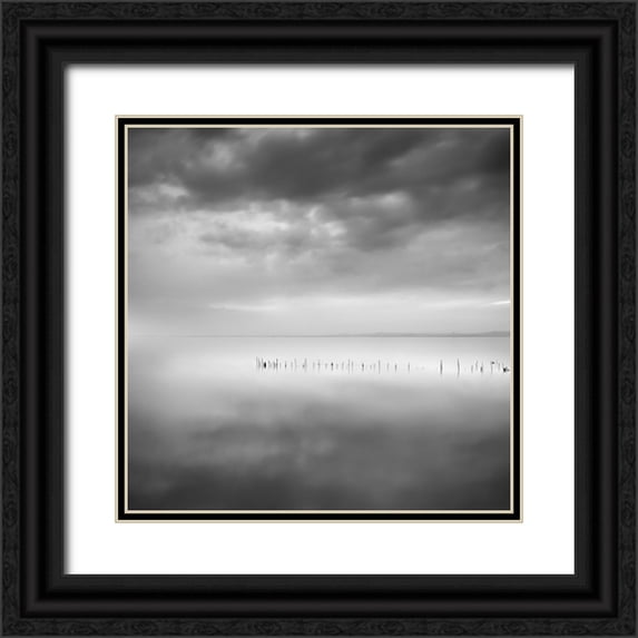 Digalakis, George 12x12 Black Ornate Wood Framed with Double Matting Museum Art Print Titled - Sixty Shades Of Gray