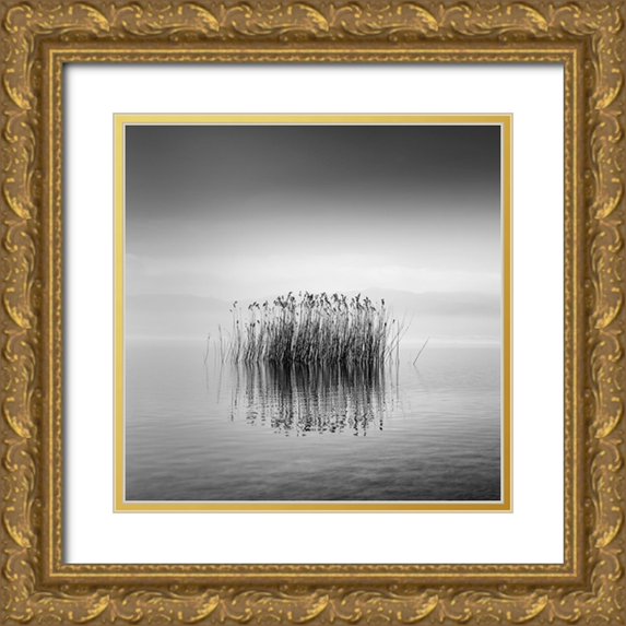 Digalakis, George 12x12 Gold Ornate Wood Framed with Double Matting Museum Art Print Titled - Black And White Silence