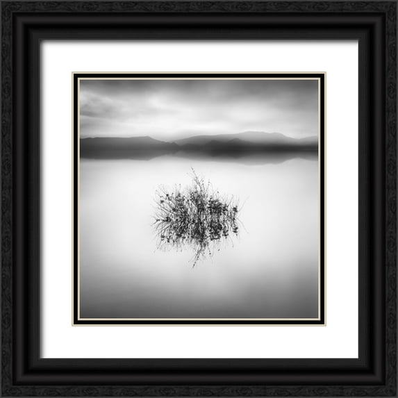 Digalakis, George 20x20 Black Ornate Wood Framed with Double Matting Museum Art Print Titled - Lake Reflections Ii