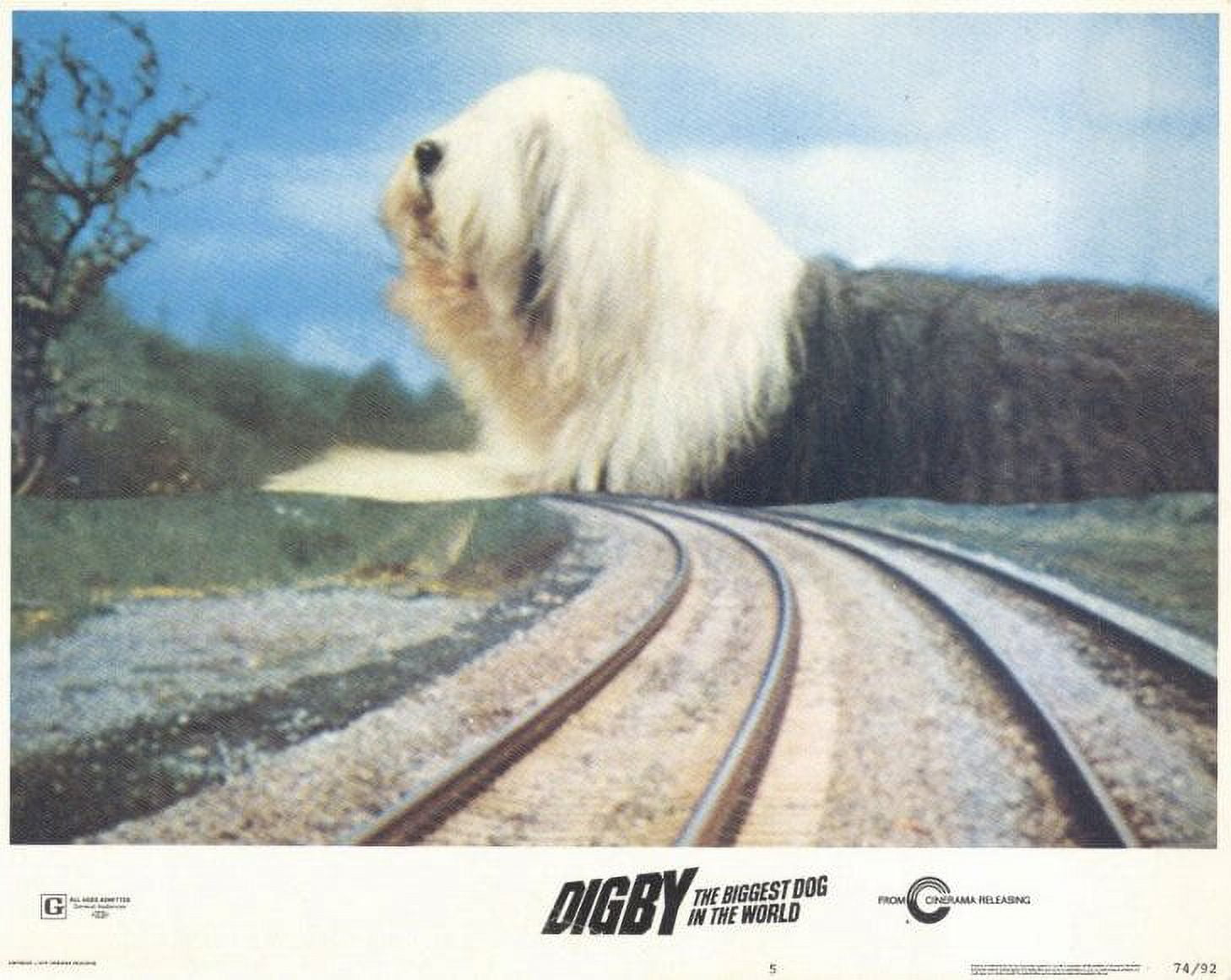 Digby, the Biggest Dog in World movie POSTER (Style B) (11" x 14
