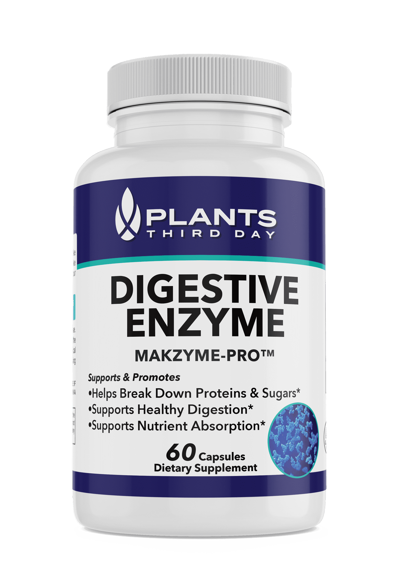 Digestive Enzymes