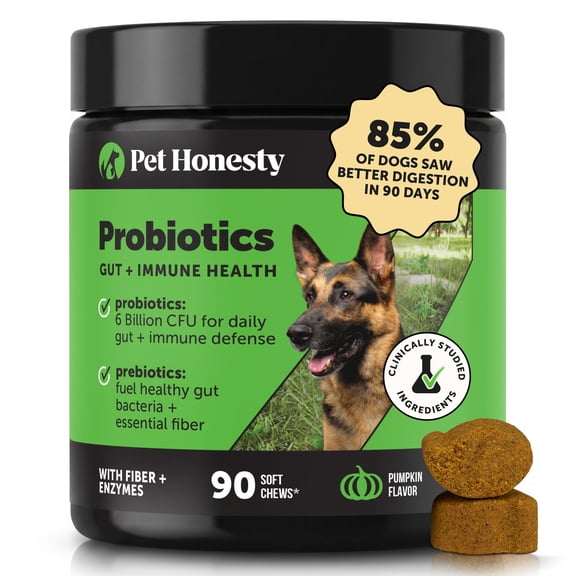 Pet Honesty Probiotics Gut + Immune Health Pumpkin Flavored Soft Chews, Digestive Probiotic Supplement for Dogs, 90 count