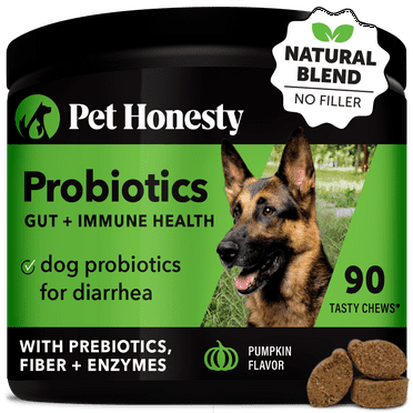 Digestive Probiotics Chews (90 Count - Pumpkin Flavor) 20.00% Off Auto renew