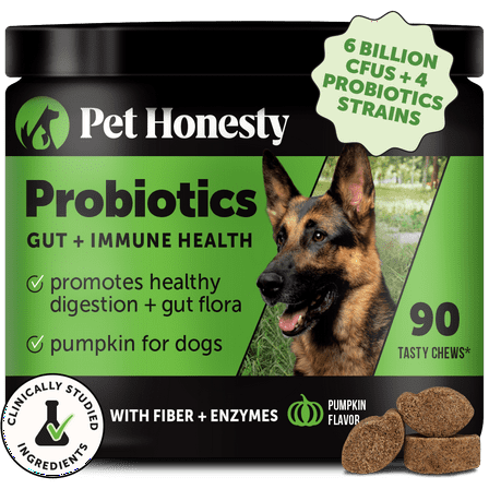 Pet Honesty Gut + Immune Health Digestive Probiotic Chews for Dogs (Pumpkin Flavor)
