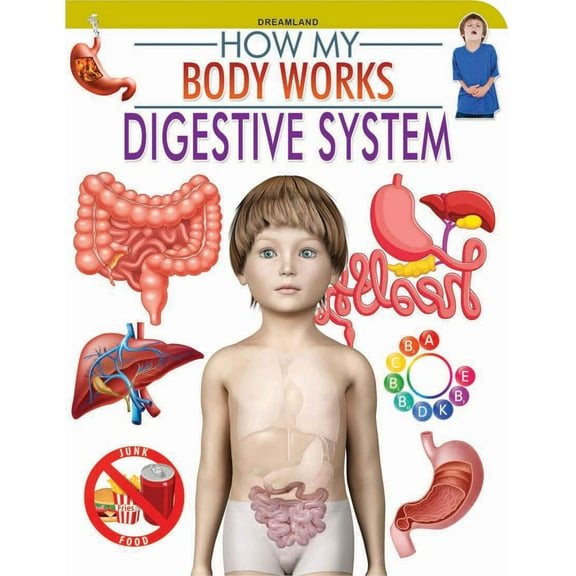 Digestive System (How My Body Works)