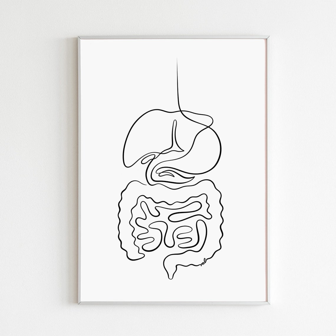Digestive System Intestines Gut Health Gastroenterology Poster Print ...