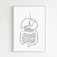 Digestive System Intestines Gut Health Gastroenterology Poster Print ...