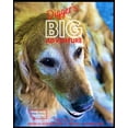 thumbnail image 1 of Digger's BIG Adventure: Based on a True Story, (Paperback), 1 of 1