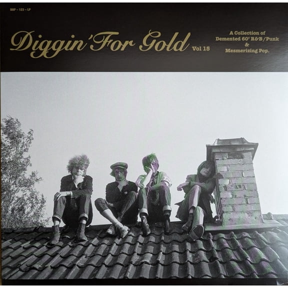 Various Artists Diggin' For Gold Vol 15 (Vinyl Record)
