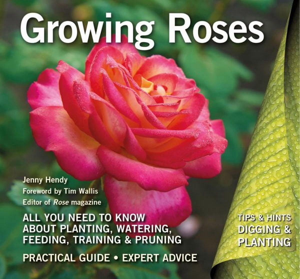 Digging and Planting: Growing Roses : Plan, Plant and Maintain ...