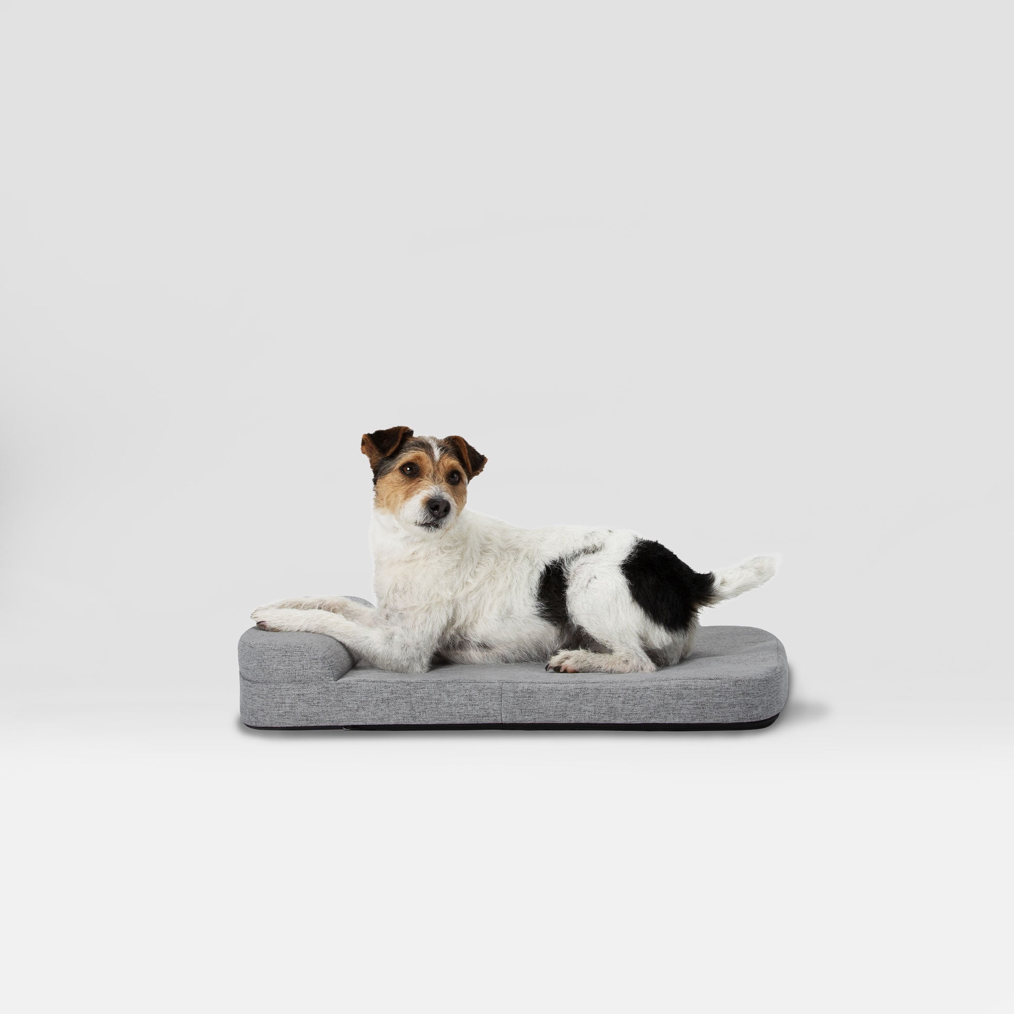 Diggs 24" Bolstr Dog Bed with Headrest - Premium Memory Foam Pet Bed for Crate or Home - Grey