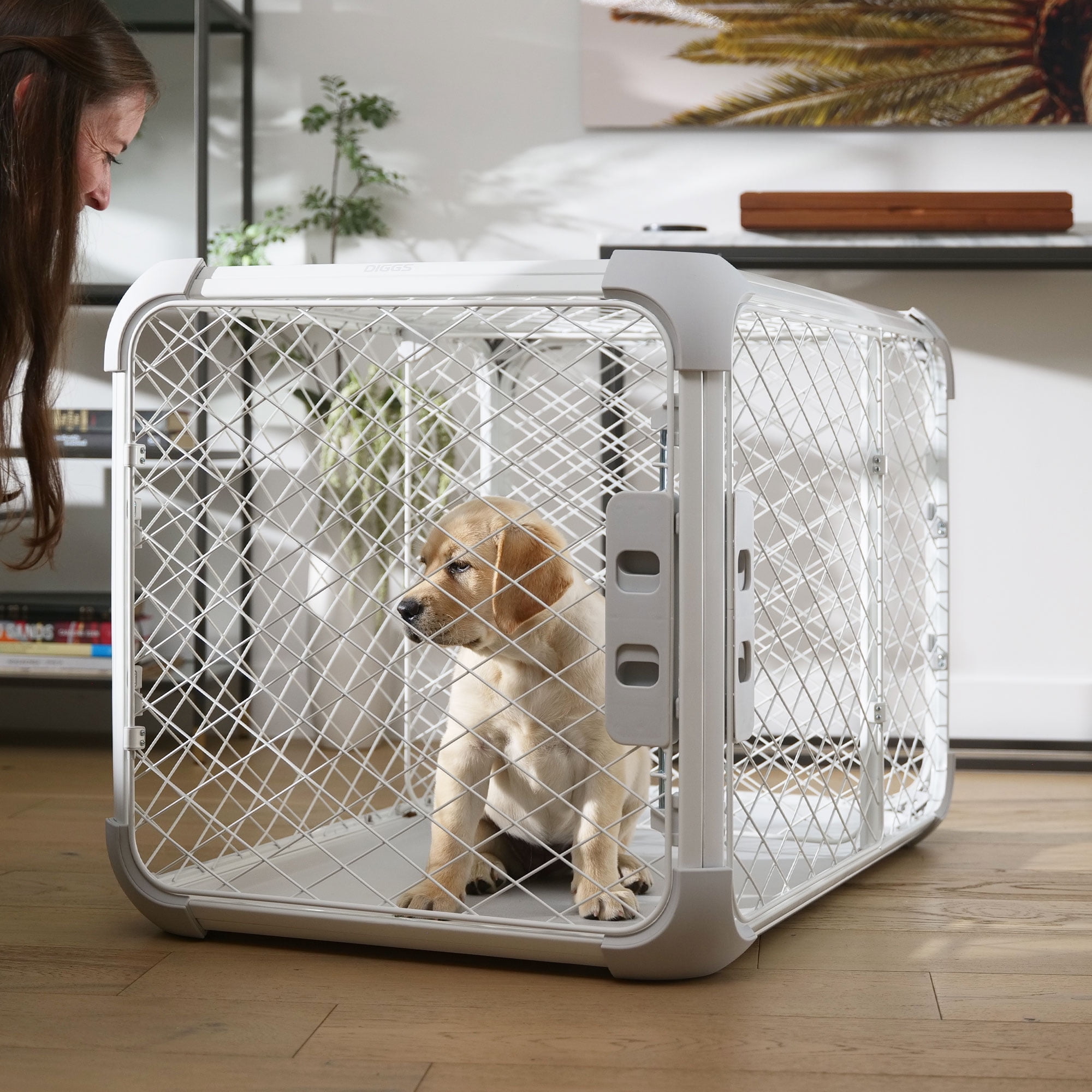 DIGGS Evolv Dog Crate, Safe, Durable Kennel with Removable Ceiling Panel and Modular, Ash, 29.1"