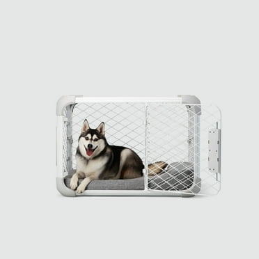 DIGGS 30" Evolv Dog Crate - Safe, Durable Kennel with Removable Ceiling Panel and Modular - Ash