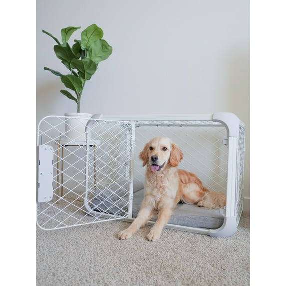 DIGGS Evolv Dog Crate, Safe, Durable Kennel with Removable Ceiling Panel and Modular, Ash, 42"
