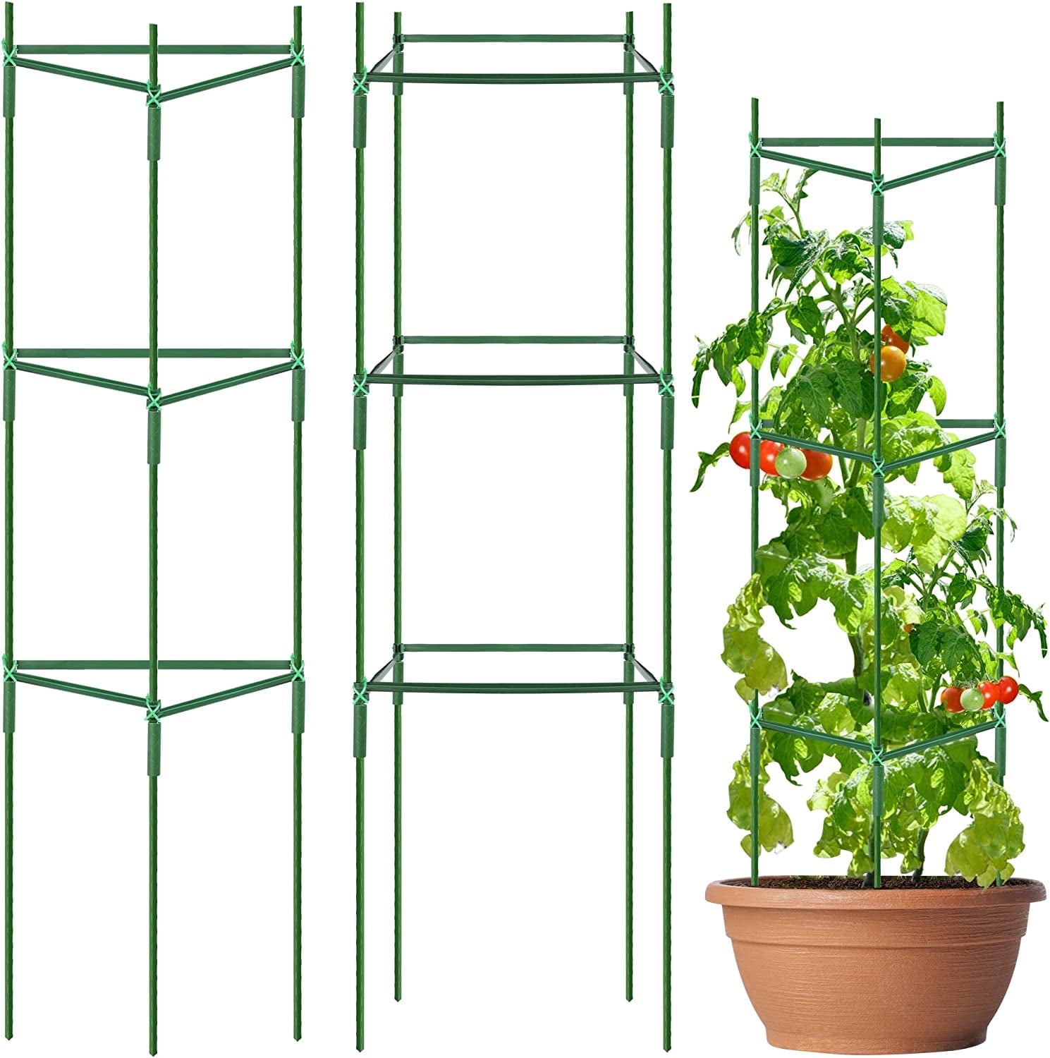 Digiroot 3 Pack Tomato Plant Support Cages, Sturdy Metal Plant Stakes Sticks, Tomatoes Growing Cage, Garden Support Frame Trellis for Vertical Climbing Plants, Vegetables, Flowers, Fruits, Vine