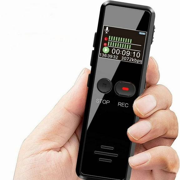 Digital Audio Recorder, Color Display Recording, Real-time Recording