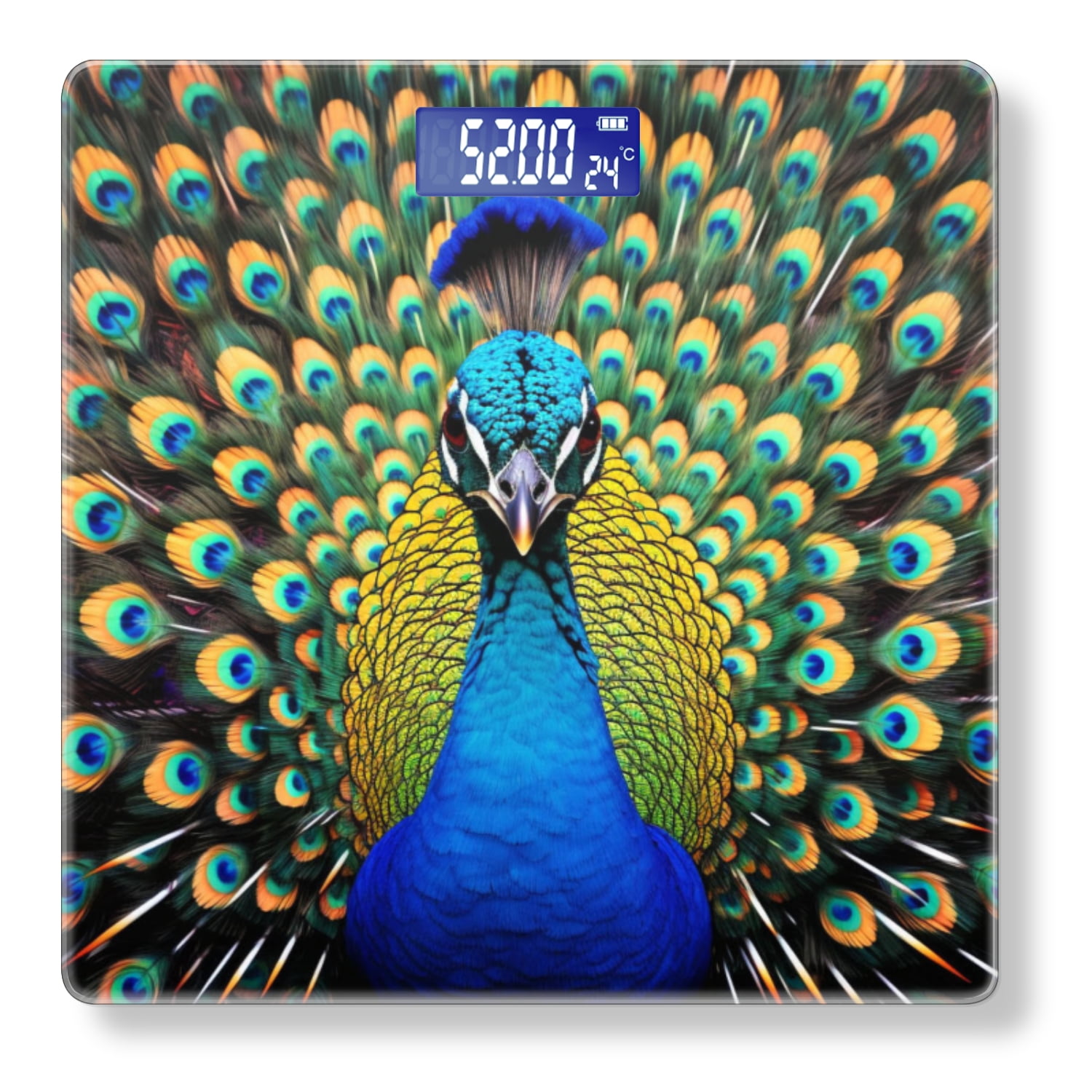 Digital Bathroom Scale with Large LCD Display,High Capacity Scale 400 lbs High Precision body fat scale-Beautiful Peacock Displaying Colorful Feathers