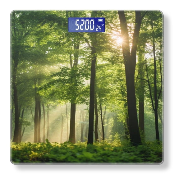 Digital Bathroom Scale with Large LCD Display,High Capacity Scale 400 lbs High Precision body fat scale-Forest Scene With Trees And Sunlight Filtering Through The Leaves
