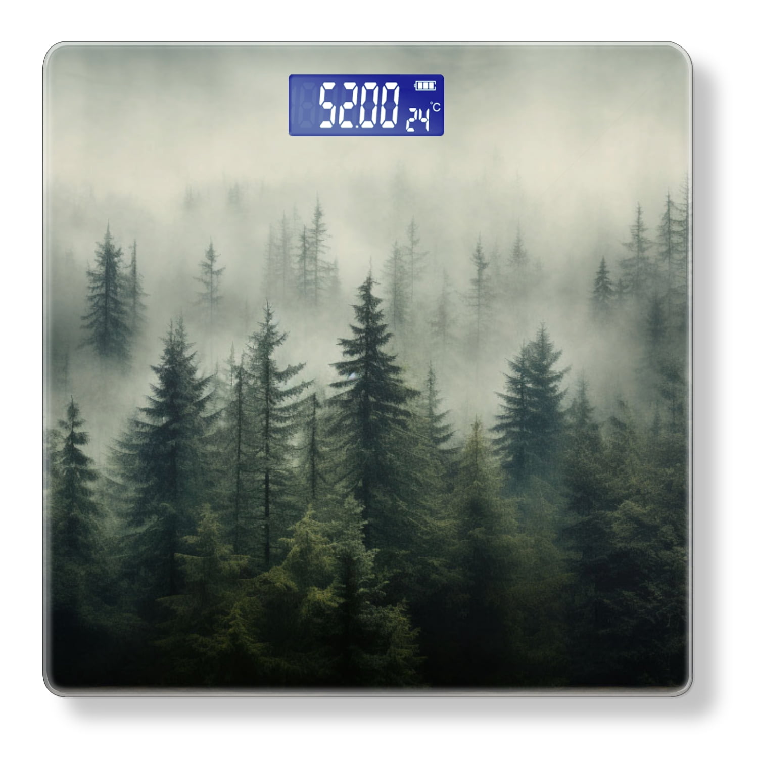 Digital Bathroom Scale with Large LCD Display,High Capacity Scale 400 lbs High Precision body fat scale-Dense Forest Shrouded In Mist With Tall Trees
