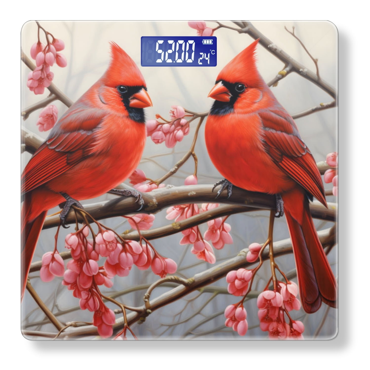 Digital Bathroom Scale with Large LCD Display,High Capacity Scale 400 lbs High Precision body fat scale-Red Cardinals Perched On Cherry Blossom Tree