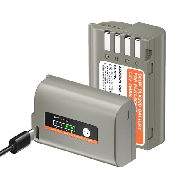 Digital Camera Battery 2 Pack DMW-BLK2 Battery Bulit-in USB for Panasonic Lumix DC-S9, DC-G9 IIDC-S5, DC-S5 II, DC-S5 IIX, GH5 II, GH6, S5II, S5IIX, S5M2, S5M2X, GH5M26 Cameras with USB-C Input