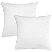 Digital Decor Pillow Insert Sham, Set of 2, 24 x 24 Inch, Standard, White