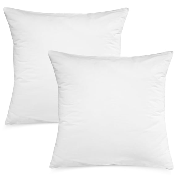 Digital Decor Pillow Insert Sham, Set of 2, 24 x 24 Inch, Standard, White