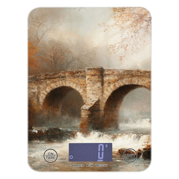 Digital Kitchen Food Scale Weight Grams Oz for Baking Cooking Coffee 11lb 0.05oz/1g Glass Bridges and Rivers