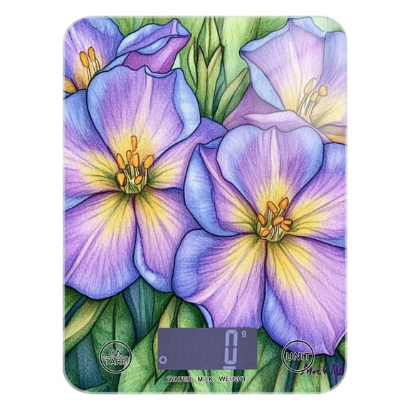 Digital Kitchen Food Scale Weight Grams Oz for Baking Cooking Coffee 11lb 0.05oz/1g Glass Pencil Drawing Flower