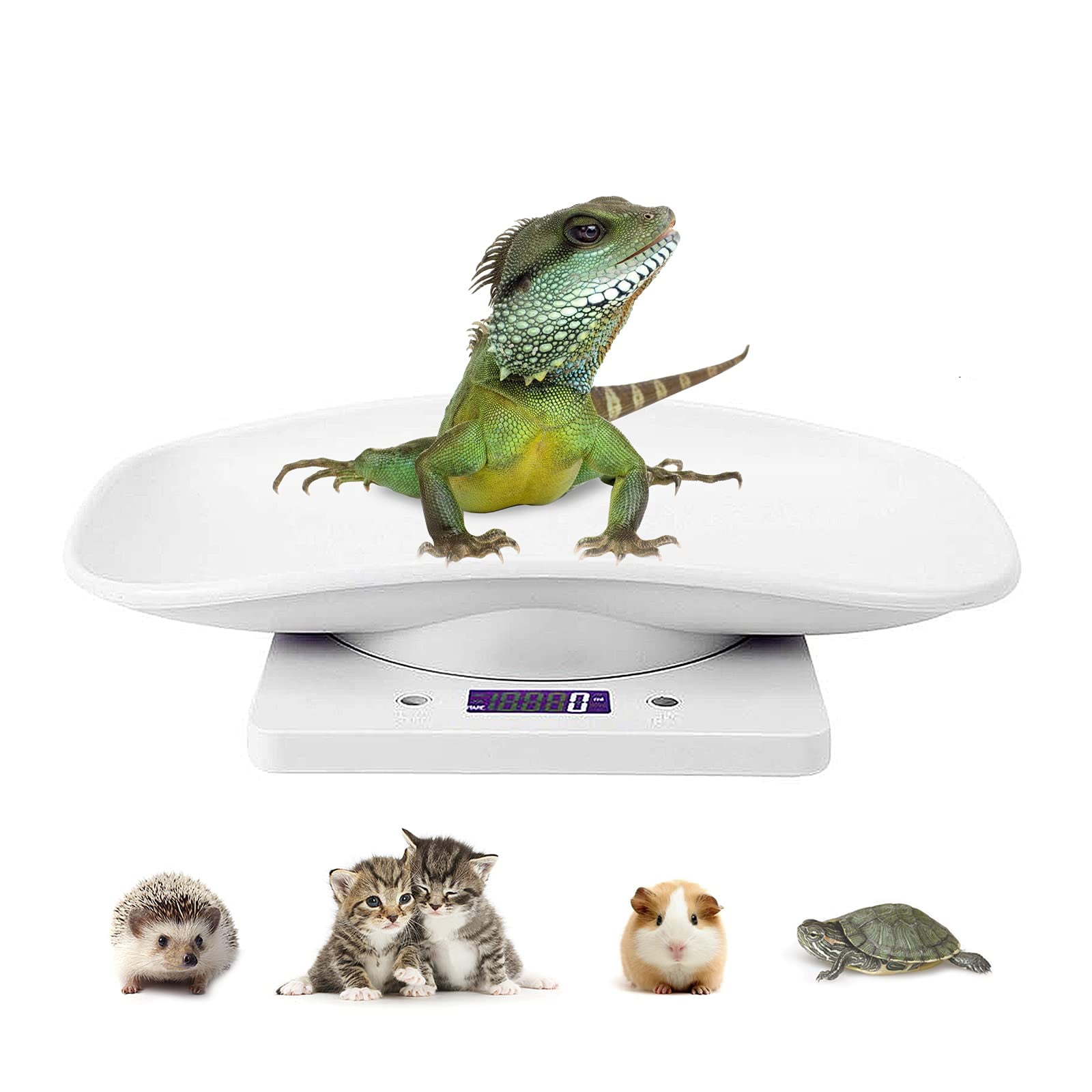 Digital Pet Scale LCD Electronic Small Animals Weighing Scale, Kitchen