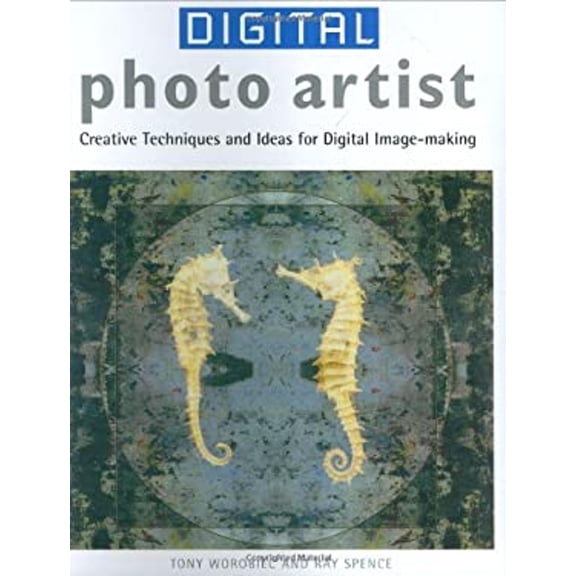 Pre-Owned Digital Photo Artist: Creative Techniques and Ideas for Digital Image-Making (Paperback) 1843401487 9781843401483
