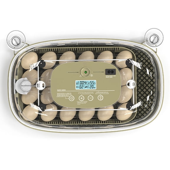 Digital Poultry Eggs Incubator Automatic Temperature Built In Candler For 24 Eggs Home Use