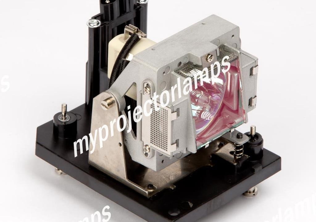 Digital Projection 113-311 Projector Lamp with Module - Walmart.com