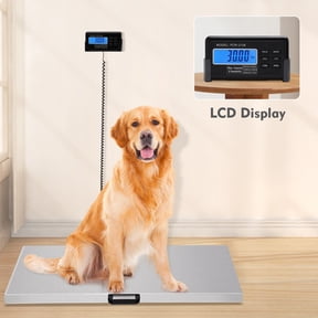 Digital Scale Floor Livestock Vet 440Lbs Stainless Steel Platform Shipping Scale