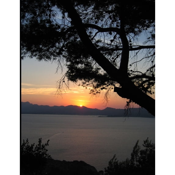 Digital Signature Algorithm: Learn by Examples with Python and Tkinter, (Paperback)